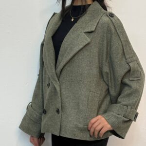 پالتو کلوین